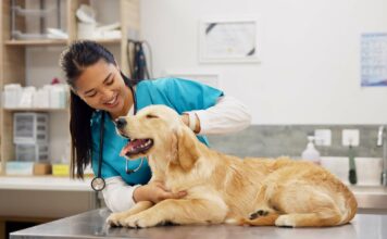 Celebra el Día del Veterinario: Frases Inspiradoras para Compartir