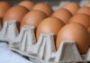 Casi cinco millones de huevos gratis para Nueva York: un acuerdo que busca combatir la fijación de precios