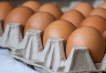 Casi cinco millones de huevos gratis para Nueva York: un acuerdo que busca combatir la fijación de precios