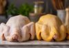 ¿Pollo Amarillo o Blanco? Descubre la Verdad Detrás de su Color