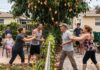 ¿Quién se queda con los mangos que caen en el vecino? La ley de Florida lo aclara