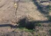 Productores Rurales Amenazan con Acciones Judiciales por el Mal Estado de Caminos