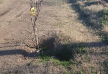 Productores Rurales Amenazan con Acciones Judiciales por el Mal Estado de Caminos