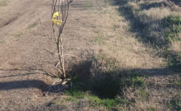 Productores Rurales Amenazan con Acciones Judiciales por el Mal Estado de Caminos