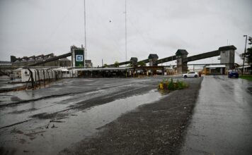 Tregua Temporal en los Puertos: Conciliación Obligatoria Previene Paro Nacional