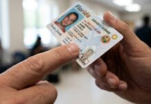 Florida Implementa Nueva Identificación para Ofensores de Carrera con Ley SB 1332