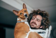 ¿Cómo influyen nuestras percepciones sobre el miedo y el enojo en la conducta de mascotas?