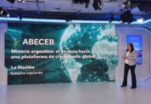 ¿Oportunidad o desafío? La minería argentina ante un futuro decisivo