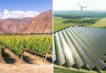 Los Argentinos y su Desconfianza hacia el Sector Empresarial: Un Estudio Revelador