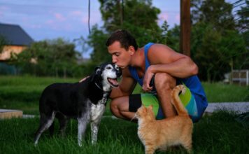 ¿Por qué hablamos a nuestras mascotas como si fueran personas? Revelaciones desde la psicología