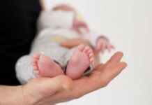 Desmitificando el Aborto: Expertos Responden a Milei sobre la Baja de Natalidad