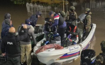 Desarticulan banda de narcotráfico: 500 kilos de cocaína incautados en megaoperativo