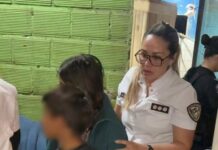 Detenido en Misiones por Intentar Entregar a sus Hijos a Cambio de un Auto