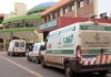 Una Jubilada Muere Tras Ser Atacada por un Perro en Misiones