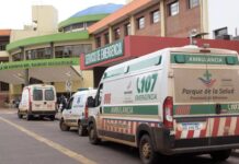 Una Jubilada Muere Tras Ser Atacada por un Perro en Misiones