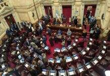 Modificaciones a la Ley de Tierras: El oficialismo eleva el límite de compra extranjera