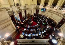 La Libertad Avanza Reconfigura su Estrategia en el Senado ante Desafíos Electorales