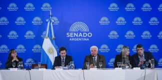 El Senado Debate el Régimen de Incentivo para Grandes Inversiones en Nuevas Industrias
