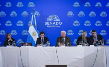 El Senado Debate el Régimen de Incentivo para Grandes Inversiones en Nuevas Industrias