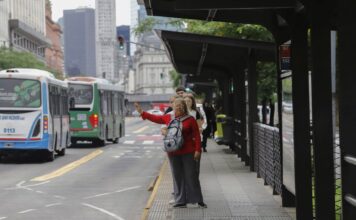 Crisis en el Transporte: Colectivos del AMBA Pierden 28 Millones de Viajes en un Año