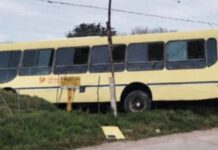 Horror en Tucumán: pasajero ataca a colectivero con un arma blanca