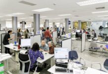 Radiografía del Empleo en Argentina: Habilidades y Desigualdades Regionales