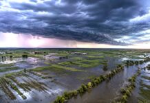 El Niño se Intensifica: Mapas Predicen Lluvias Torrenciales en Argentina