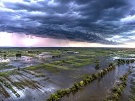 El Niño se Intensifica: Mapas Predicen Lluvias Torrenciales en Argentina