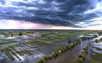 El Niño se Intensifica: Mapas Predicen Lluvias Torrenciales en Argentina