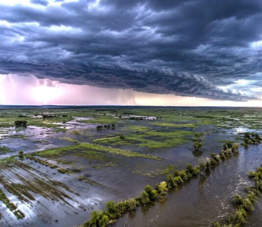 El Niño se Intensifica: Mapas Predicen Lluvias Torrenciales en Argentina