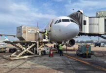 Crecimiento Sostenido: La Carga Aérea Internacional en América Latina Aumenta un 4,7%