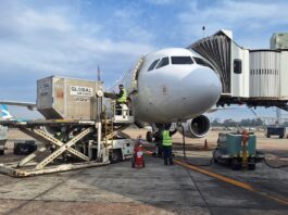 Crecimiento Sostenido: La Carga Aérea Internacional en América Latina Aumenta un 4,7%