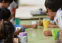 Entre Ríos Avanza en la Transformación del Sistema Alimentario Escolar Tras Fallo Judicial