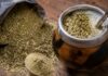 El Polvo en la Yerba Mate: ¿Un Mito que Afecta la Acidez Estomacal?