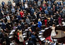 ¿Más Diputados en Argentina? El Desafío de la Representación y la Tecnología