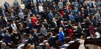 ¿Más Diputados en Argentina? El Desafío de la Representación y la Tecnología