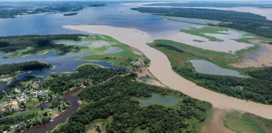 La Deforestación en la Amazonia Brasileña Aumenta el Riesgo de Enfermedades Infecciosas