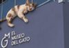 Inaugura en México el Primer Museo del Gato: Un Espacio Interactivo para Amantes de los Felinos