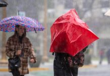 ¡Lluvias y un respiro! El clima en el AMBA para este jueves 27 de agosto
