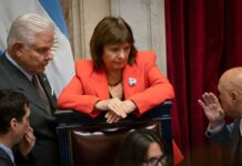 El Senado Argentino Aborda el Controversial Proyecto sobre Propiedad Privada