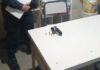 Inquietud en Tucumán: Alumna de 12 años lleva un arma a la escuela