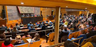 ¿Cambio de guardia en Misiones? La reconfiguración del poder tras la ausencia de Rovira