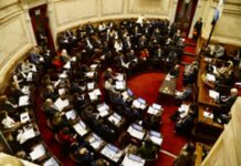 Gobernadores logran que la Casa Rosada retroceda en la extranjerización de tierras