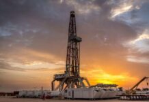 Neuquén Impulsa Exportaciones y Supera a Todo el Norte Argentino