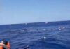 Tragedia en el Mar Mediterráneo: Ferry con 270 Pasajeros se Hundió Frente a Chipre