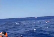 Tragedia en el Mar Mediterráneo: Ferry con 270 Pasajeros se Hundió Frente a Chipre