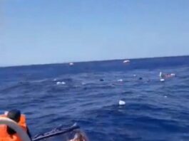 Tragedia en el Mar Mediterráneo: Ferry con 270 Pasajeros se Hundió Frente a Chipre