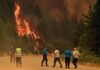 Día Mundial de la Prevención de Incendios Forestales: 5 Claves para Proteger Nuestros Bosques