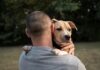 Descubren que los perros pueden diferenciar entre el miedo y la tristeza en humanos