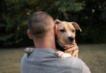 Descubren que los perros pueden diferenciar entre el miedo y la tristeza en humanos